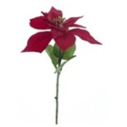 POINSETTIA SPRAY BADEN RED 60CM  