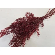 RUSCUS BORDEAUX +/-200GR BOPP/kraft emballage hobby