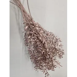 RUSCUS ROSE GOLD +/-100GR BOPP/kraft Small packaging