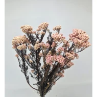 RICE FLOWER NATURAL GECONSERVEERD +/-110-130GR