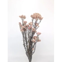 RICE FLOWER NATURAL PRESERVERD 1/2 BOPP/kraft Small packaging