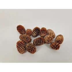 SABULOSUM NATUREL +/-100GR