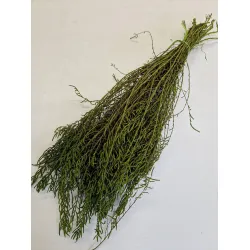 SALICORNIA GREEN BOPP/kraft Small packaging