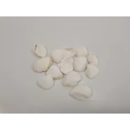 SHELLS ARCA ARCA +/-150GR