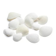 SCHELPEN ARCA ARCA +/- 1KG