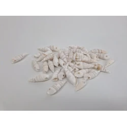 SCHELPEN CERITHUM VERTAGUS +/-200GR