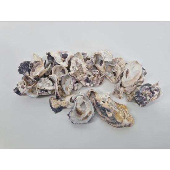 SCHELPEN OESTER (CRASSOSTREA GIGAS) +/-200GR