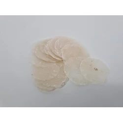 COQUILLES PLACUNA MINI NATUREL 500GR