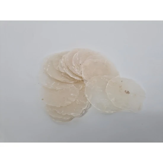 SCHELPEN PLACUNA MINI NATUREL +/-100GR