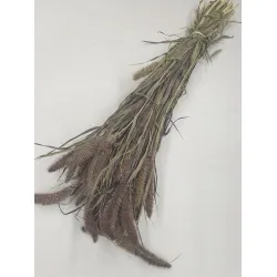 SETARIA RED JEWEL NATURAL BOPP/kraft Small packaging