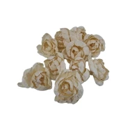 SHOLA PIVOINE 8CM NATUREL 10PCS