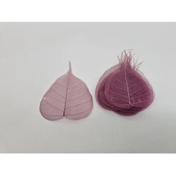SKELETON LEAF AUBERGINE 100PCS