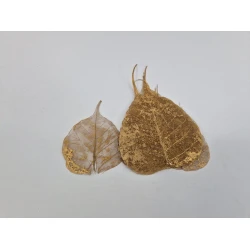 SKELETON LEAF GOLD 100PCS