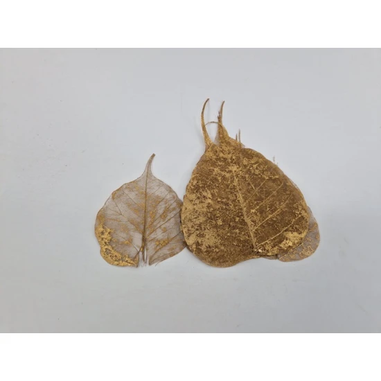 SKELETON LEAF GOLD