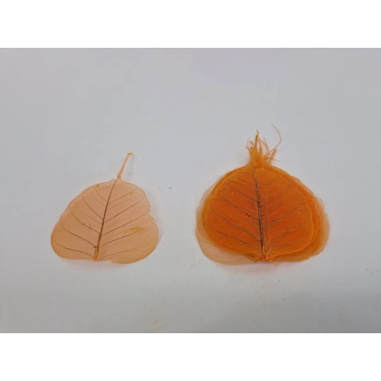 FEUILLE SQUELETTE ORANGE