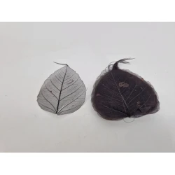 SKELETON LEAF BLACK +/-100PCS