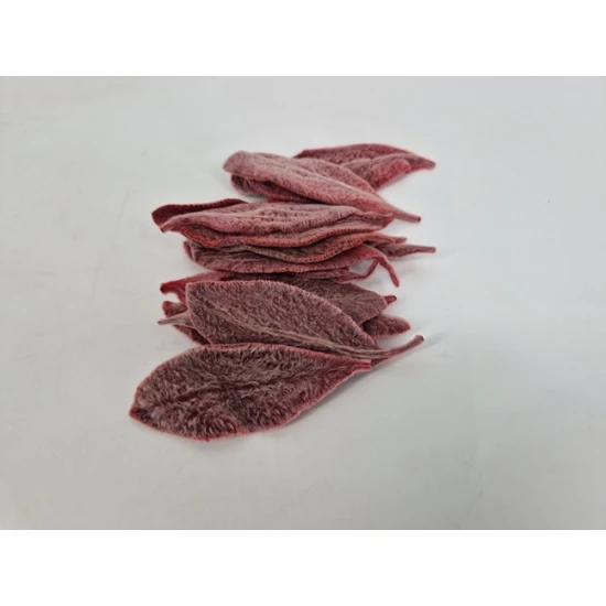 STACHYSBLAD (EZELSOREN) BORDEAUX