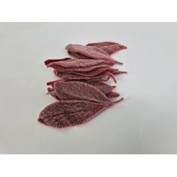 FEUILLE DE STACHYS STABILISE BORDEAUX 75PCS