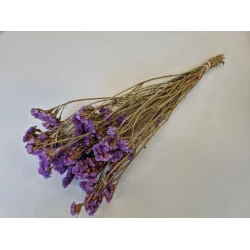 STATICE SINUATA DARK LILAC NATURAL BOPP/kraft Small packaging