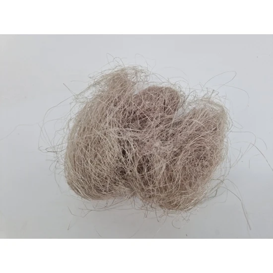SISAL MODDERBRUIN