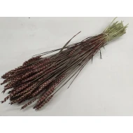 BLE MARRON FONCE 1/2 BOPP/kraft emballage hobby