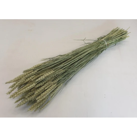 BLE NATUREL 1/2 BOPP/kraft