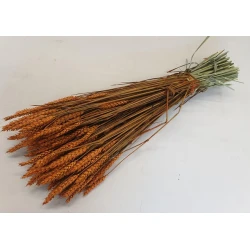 WHEAT ORANGE 1/2 BOPP/kraft Small packaging