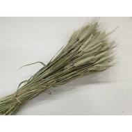 TRITICALE NATURAL 1/2 BOPP/kraft Small packaging