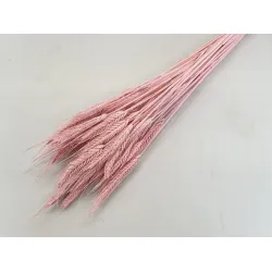 TRITICALE SOFT PINK 1/2 BOPP/kraft Small packaging