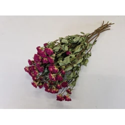 SPRAY ROSES PURPLE - LIANNE NATURAL BOPP/kraft Small packaging