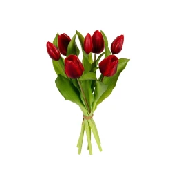 TULIP BUNDLE 30CM RED