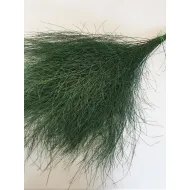 TIKI PRESERVED GREEN 25PCS