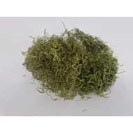 TISLANDSIA (TILLANDSIA) VERT POMME +/-200GR