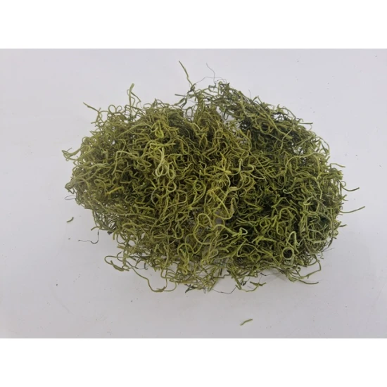 TILLANDSIA (TILLANDSIA) APPLE GREEN +/-200GR