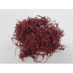 TISLANDSIA (TILLANDSIA) BORDEAUX +/-200GR