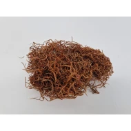 TISLANDSIA (TILLANDSIA) COGNAC +/-200GR