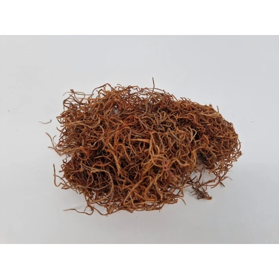 TILLANDSIA (TILLANDSIA) COGNAC +/-200GR