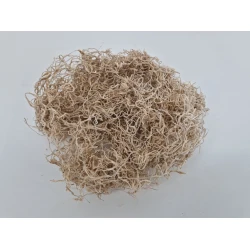 TISLANDSIA (TILLANDSIA) BLANCHI +/-200GR