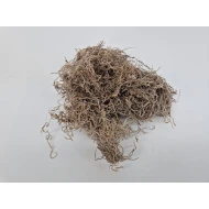 TISLANDSIA (TILLANDSIA) NATUREL +/-30GR