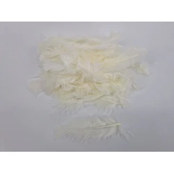 PLUMES FLATS ECRU +/-45GR