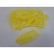 FEATHERS FLATS YELLOW +/-45GR