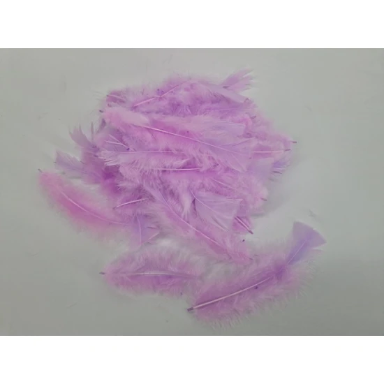 PLUMES FLATS LILA +/-45GR