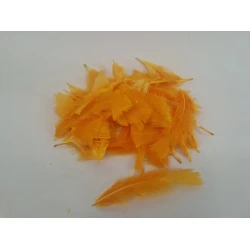 PLUMES FLATS ORANGE +/-45GR