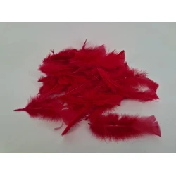 PLUMES FLATS ROOD +/-45GR