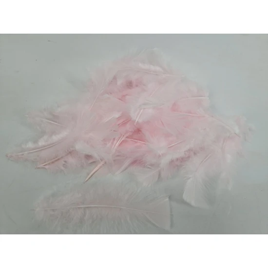 FEATHERS FLATS ROSE +/-10GR