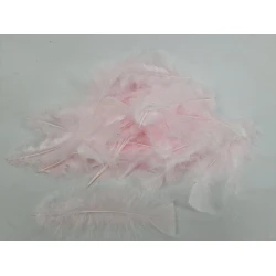 PLUMES FLATS ROSE +/-45GR
