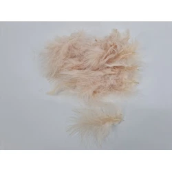PLUMES DE MARABOU BEIGE +/-45GR