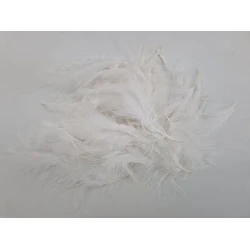 PLUMES DE MARABOU BLANC +/-45GR