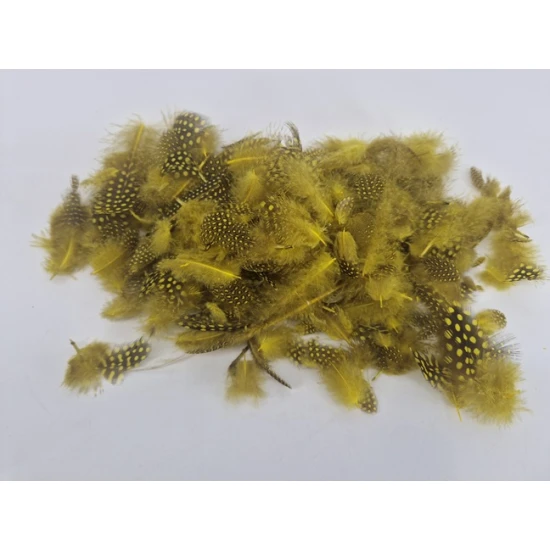 PLUMES DE PINTADE JAUNE +/-45GR