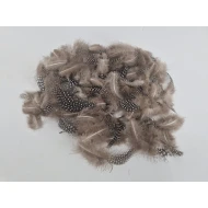 PLUMES DE PINTADE NATUREL +/-45GR